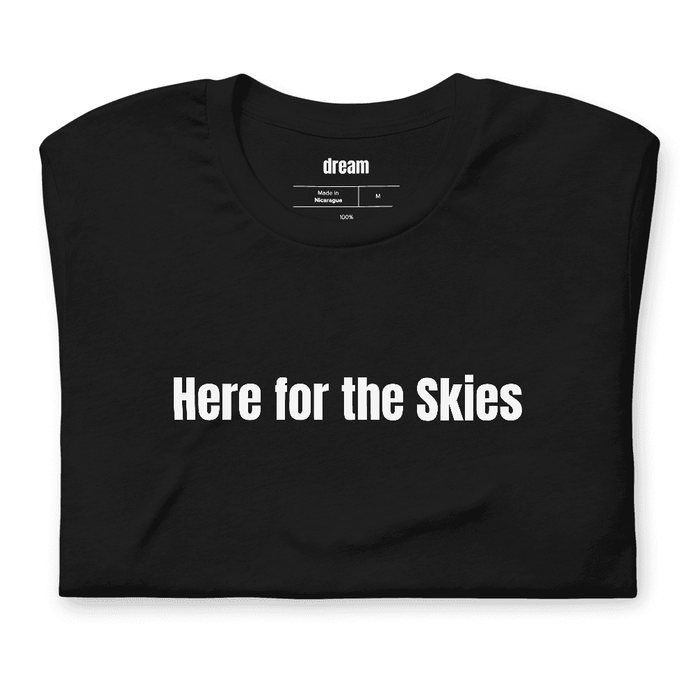 Here for the Skies t-shirt