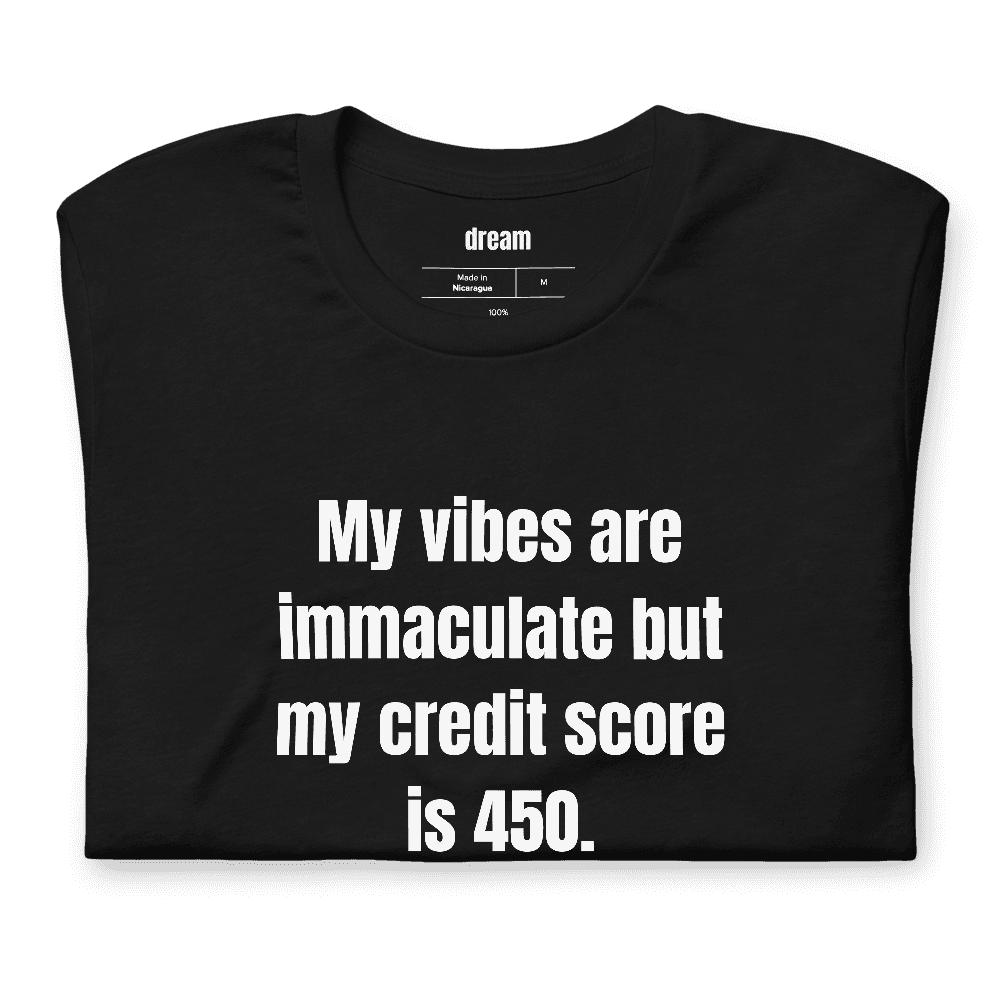 My vibes are immaculate but my credit score is 450. t-shirt