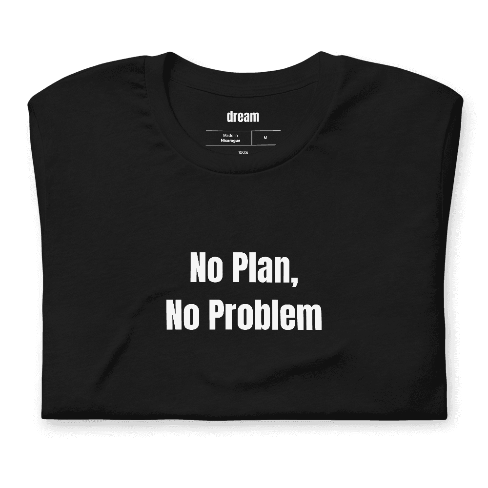 No Plan, No Problem t-shirt