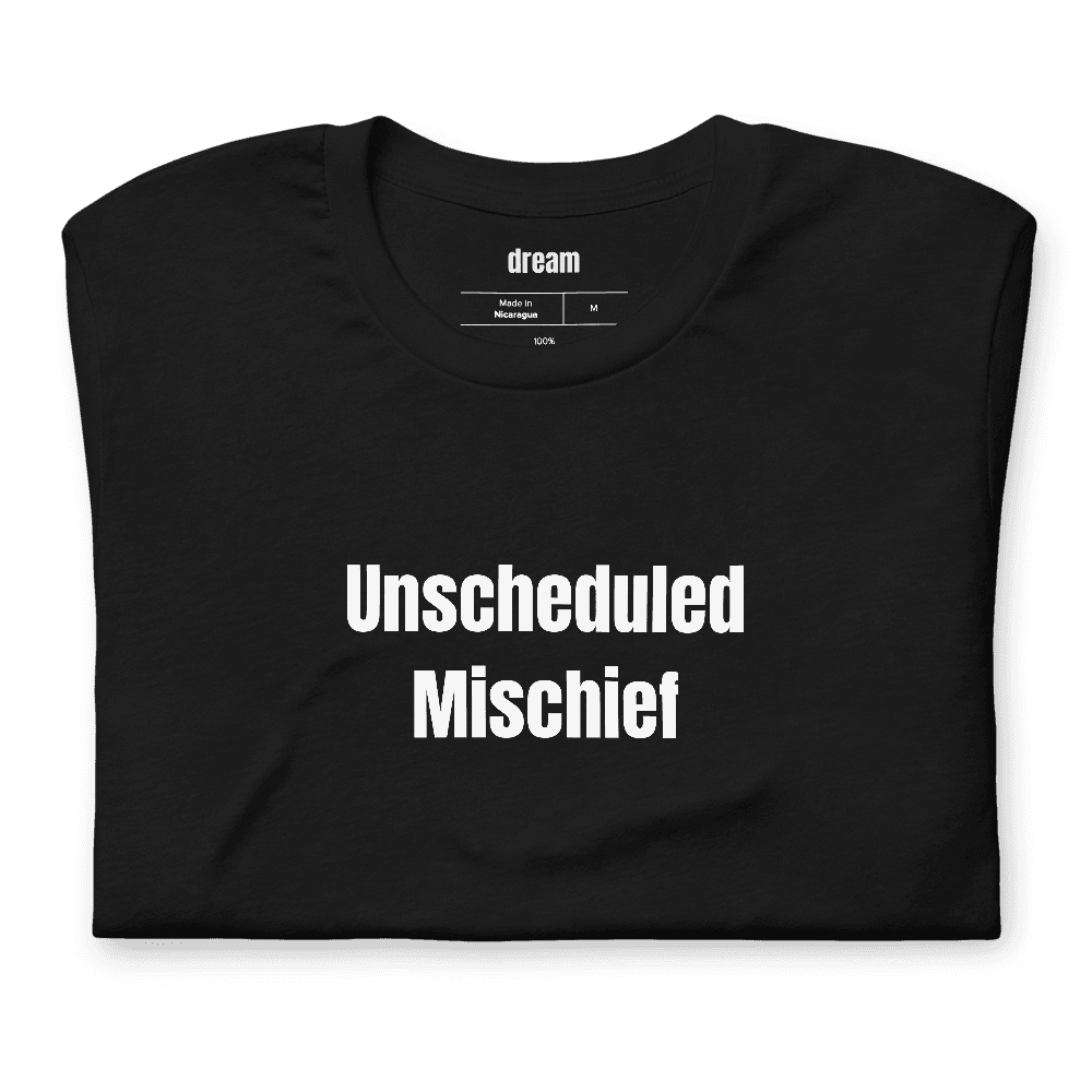 Unscheduled Mischief t-shirt